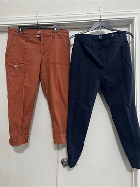 Time and Tru Rust Cargo Pants and Navy Gap Chinos